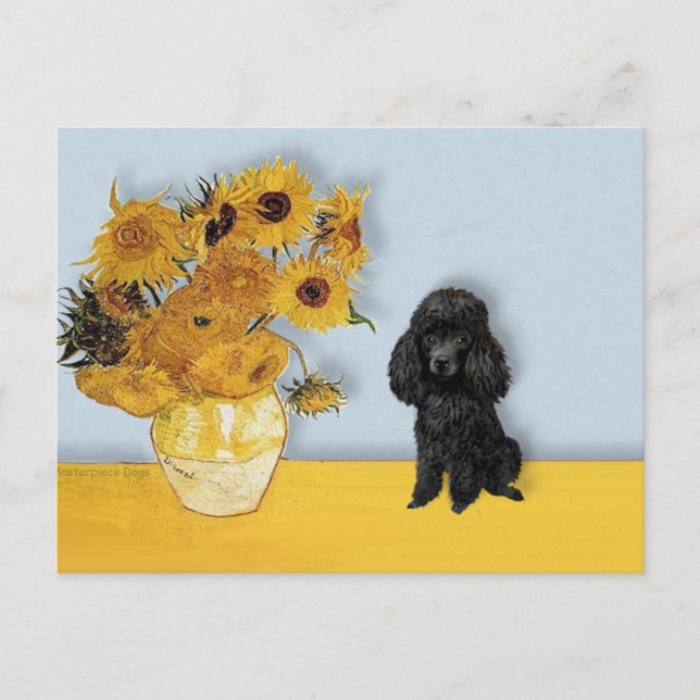 Carte Postale Poodle (Noir1) - Tournesols (Devant)