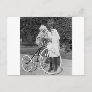 Carte Postale Poodle Perch, 1913