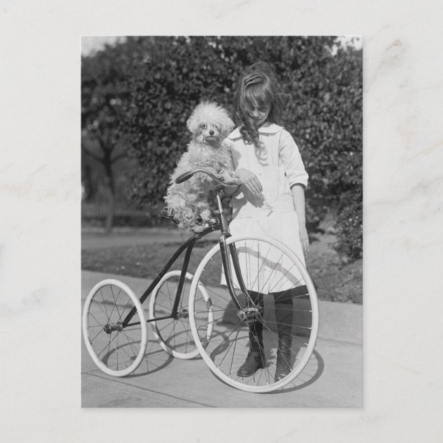 Carte Postale Poodle Perch, 1913 (Devant)