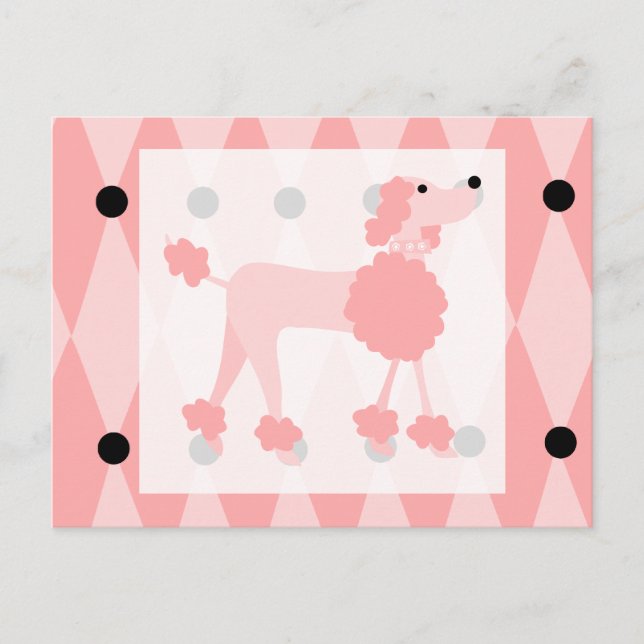 Carte Postale Poodle rose (Devant)