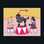 Carte Postale Poodle Sisters Circus Act Postcard<br><div class="desc">Poodles by nature are both clowns and "showgirls" (or boys)! These show stoppers have a lot to say!</div>