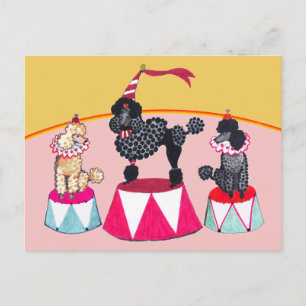 Carte Postale Poodle Sisters Circus Act Postcard