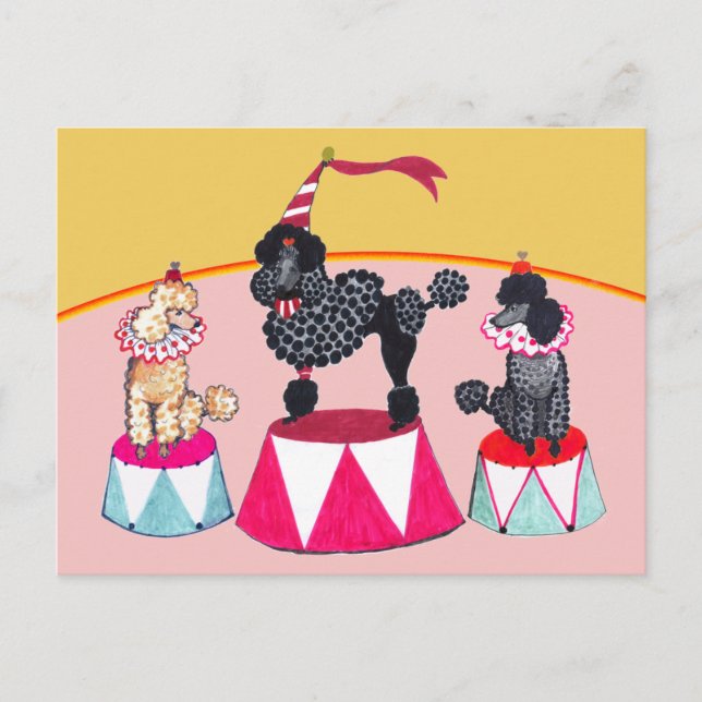Carte Postale Poodle Sisters Circus Act Postcard (Devant)