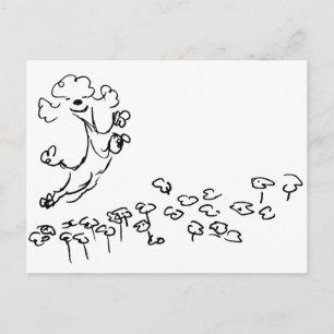 Carte Postale Poodle Springy