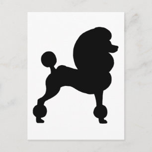 Carte Postale Poodle standard coupé