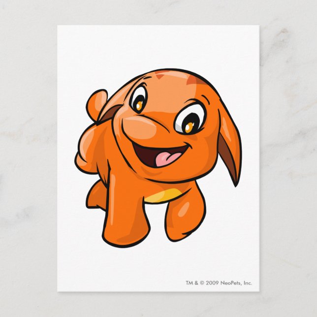 Carte Postale Poogle Orange (Devant)