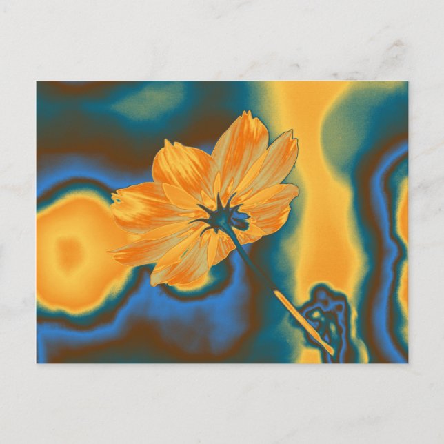 Carte Postale Pop Art Belle Fleur de Cosmos Jaune (Devant)