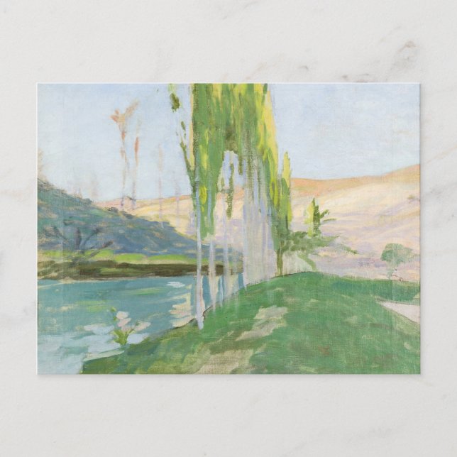 Carte Postale Poplaires Cultivant près d'un cours d'eau (Devant)