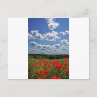 Carte Postale Poppies