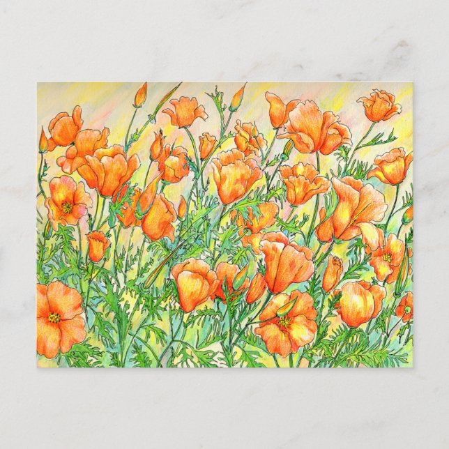 Carte Postale Poppies (Devant)