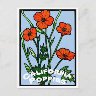 Carte Postale Poppies de Californie Vintage