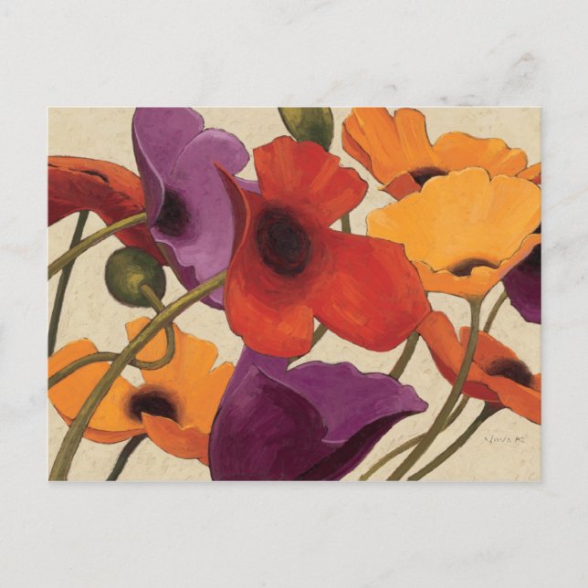 Carte Postale Poppies de printemps (Devant)