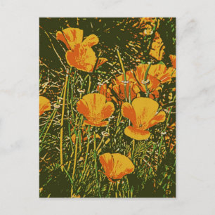 Carte Postale Poppies stérilisées