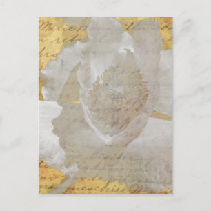 Carte Postale Poppy