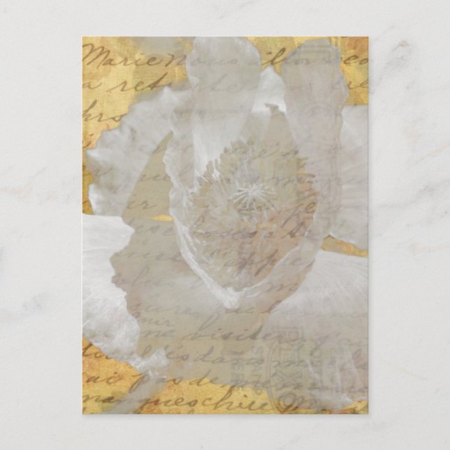 Carte Postale Poppy (Devant)