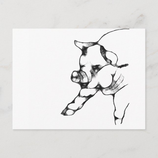 Carte Postale porc (Devant)