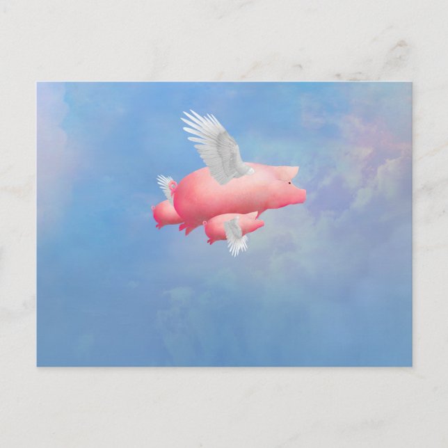 Carte Postale Porcelets volants (Devant)