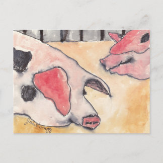 Carte Postale Porcs à la Foire du Comté