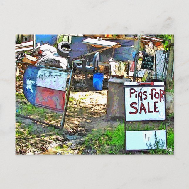 Carte Postale Porcs à vendre à Dale, TX (Devant)