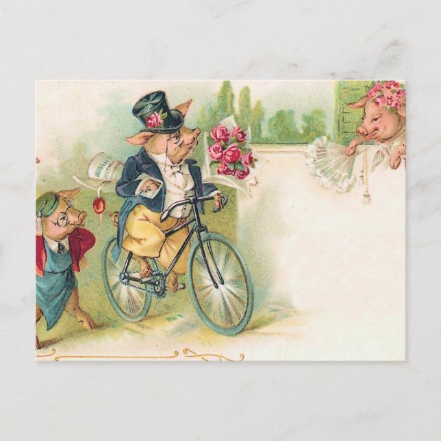 Carte Postale Porcs Romantiques (Devant)