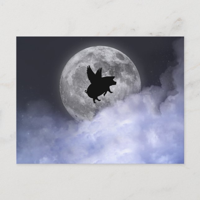 Carte Postale Porcs volants néocturnes (Devant)