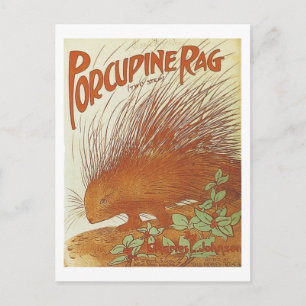 Carte Postale Porcupine Sag Vintage Songbook Couverture