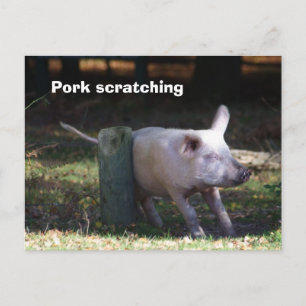 Carte postale 'Pork scratching'