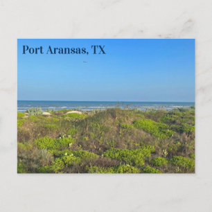 Carte Postale Port Aransas Texas Beach Grass Photographie
