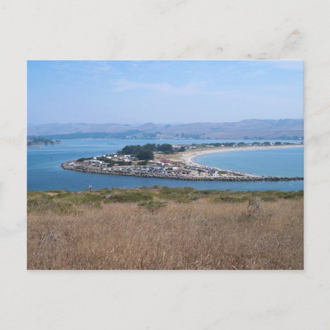 Carte Postale Port de Bodega et parc Doran (Devant)
