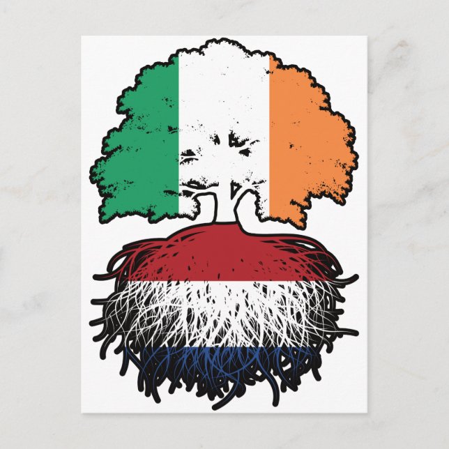 Carte Postale Port de Netherlands (Devant)