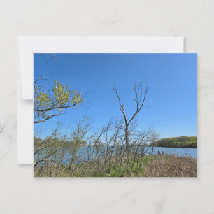 Carte Postale Port de Oak, Ohio
