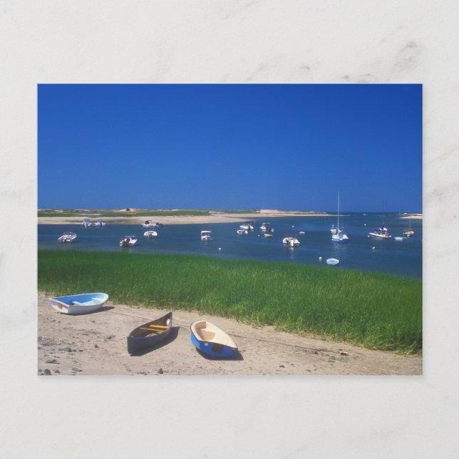 Carte Postale Port de Pamet Truro Cape Cod (Devant)