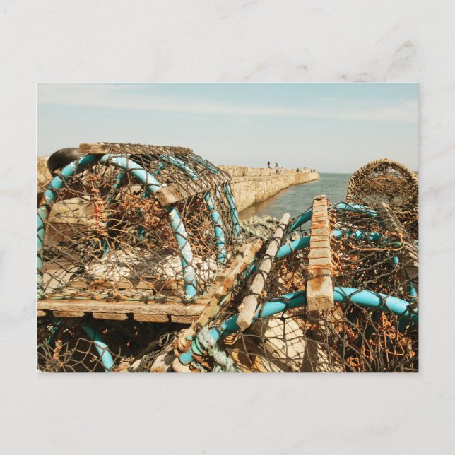 Carte Postale Port de St Andrews (Devant)