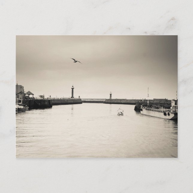 Carte Postale Port de Whitby (Devant)