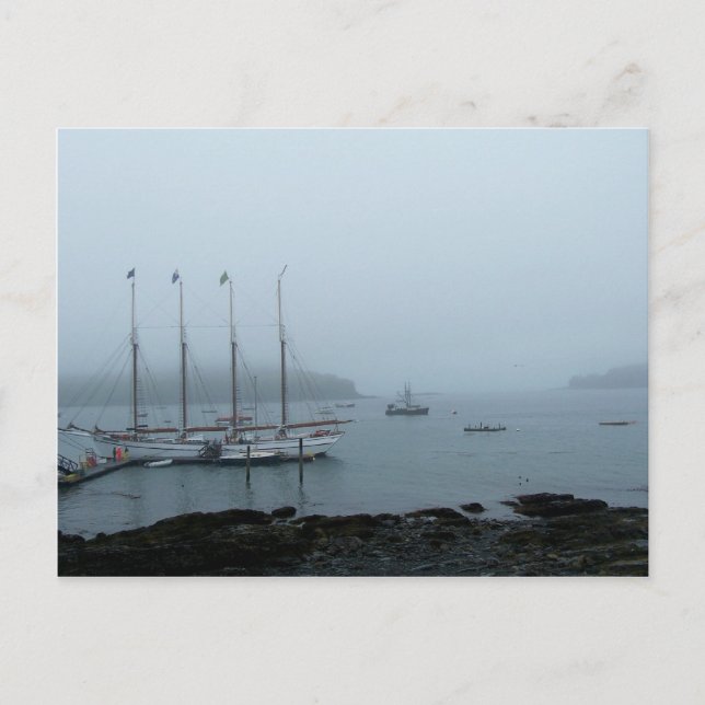 Carte Postale Port du Maine (Devant)