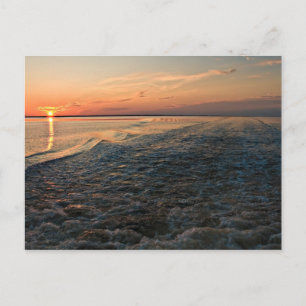 Carte Postale Port St Joe Sunset