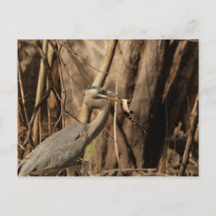 CARTE POSTALE PORTE À MANGER BLUE HERON