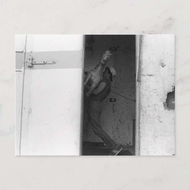 Carte Postale Porter le cheval (Devant)