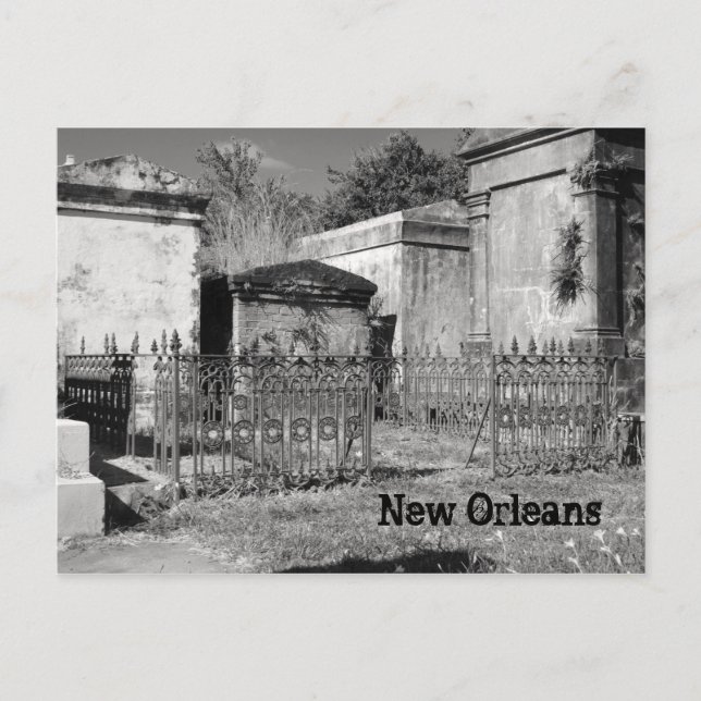 Carte Postale Portes vides (Devant)