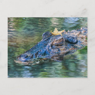 Carte Postale Porteur avec couronne