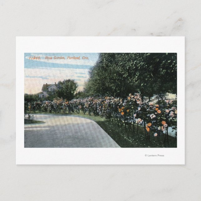 Carte Postale Portland, OregonVue d'un jardin Rose (Devant)