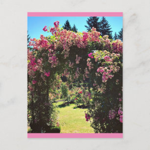Carte Postale Portland Rose Garden