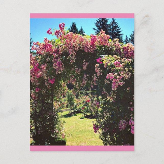 Carte Postale Portland Rose Garden (Devant)