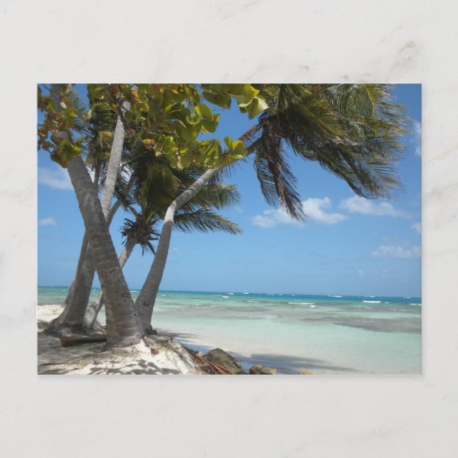 Carte Postale Porto Rico (Devant)