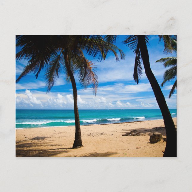 Carte Postale Porto Rico - Plage Condado (Devant)