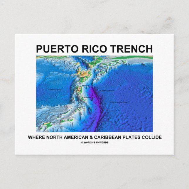 Carte Postale Porto Rico Trench où les Caraïbes nord-américaines (Devant)