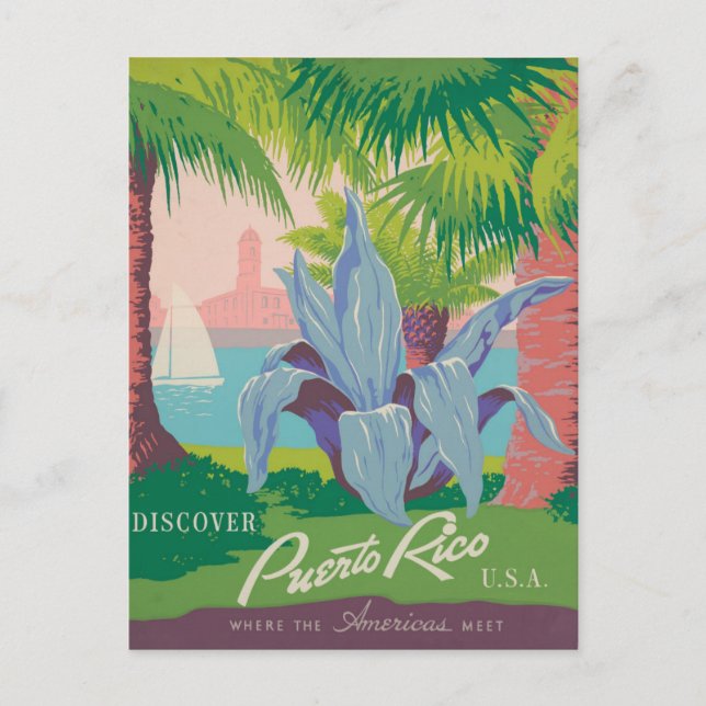 Carte postale Porto Rico vintage (Devant)