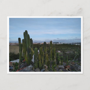 Carte Postale Porto Salvo (Portugal)