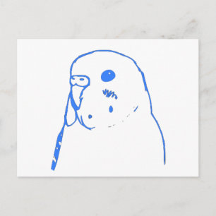 Carte Postale Portrait Aqua Budgie