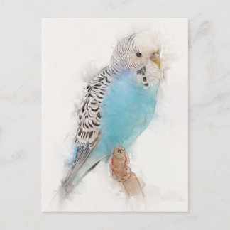 Carte Postale Portrait Budgie bleu